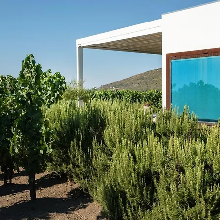 Tenuta Di Castellaro Winery & Resort Lipari (Isola Lipari)