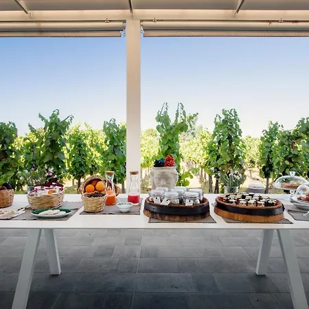 Tenuta Di Castellaro Winery & Resort