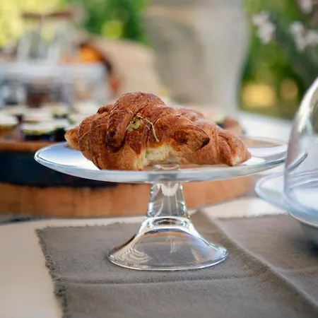 Tenuta Di Castellaro Winery & Resort