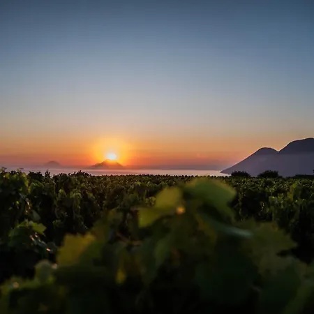 Tenuta Di Castellaro Winery & * Lipari (Isola Lipari)