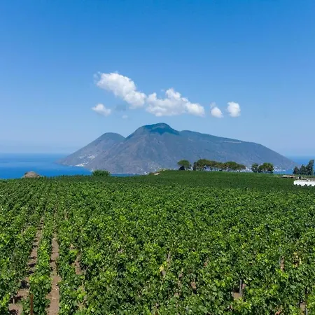 Tenuta Di Castellaro Winery & Resort *