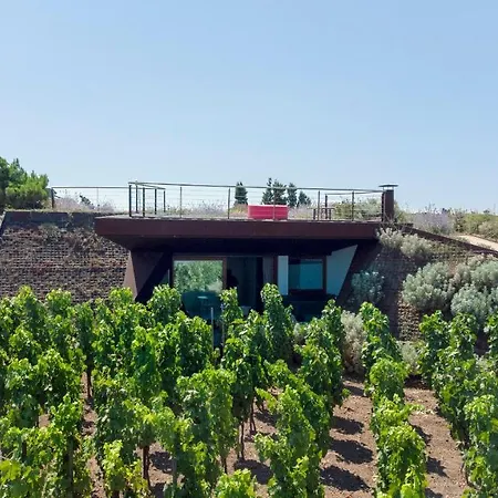 Tenuta Di Castellaro Winery & *