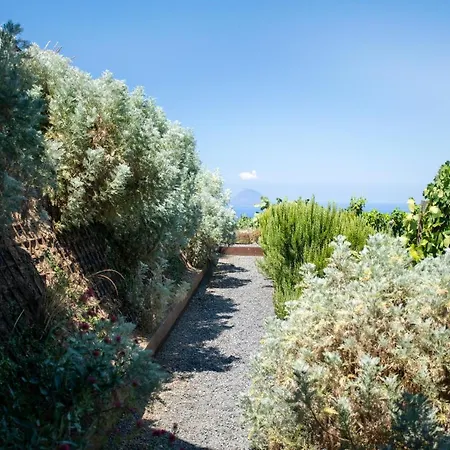 Tenuta Di Castellaro Winery & Resort *