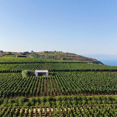 Tenuta Di Castellaro Winery & Resort *