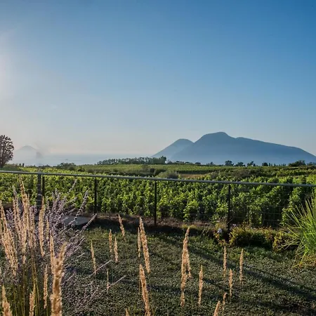 Tenuta Di Castellaro Winery &