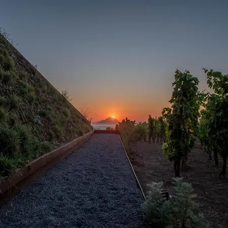 Tenuta Di Castellaro Winery & Rezort *