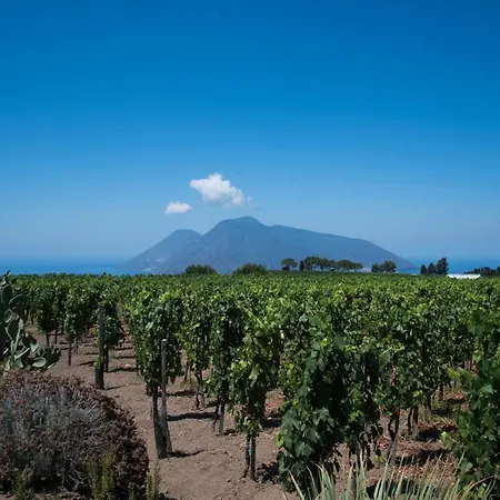 Tenuta Di Castellaro Winery &