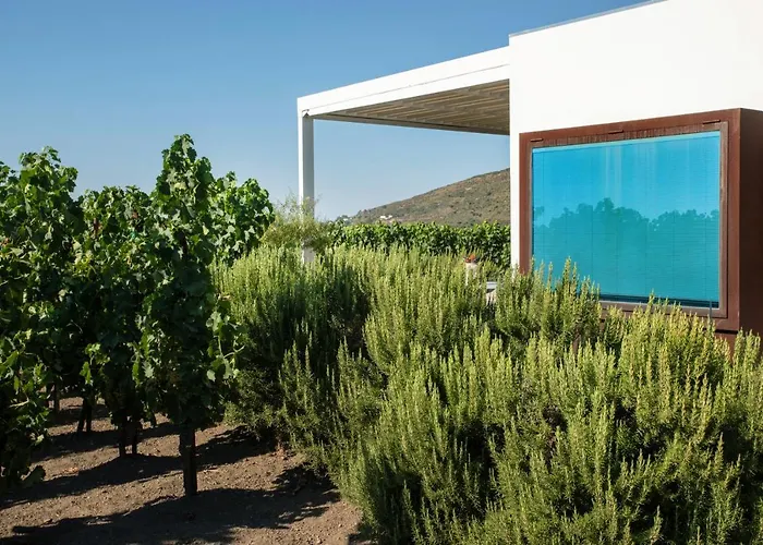 Tenuta Di Castellaro Winery & 리조트 리파리