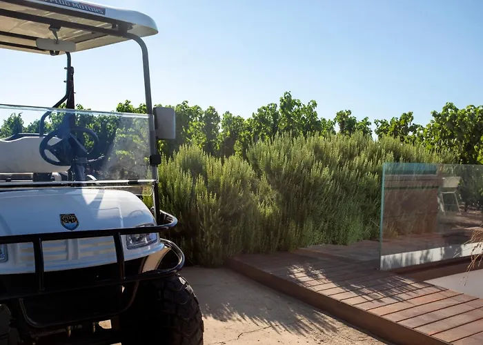 Tenuta Di Castellaro Winery & منتجع