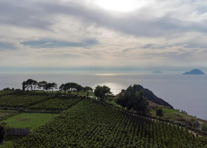 منتجع Tenuta Di Castellaro Winery & ليباري