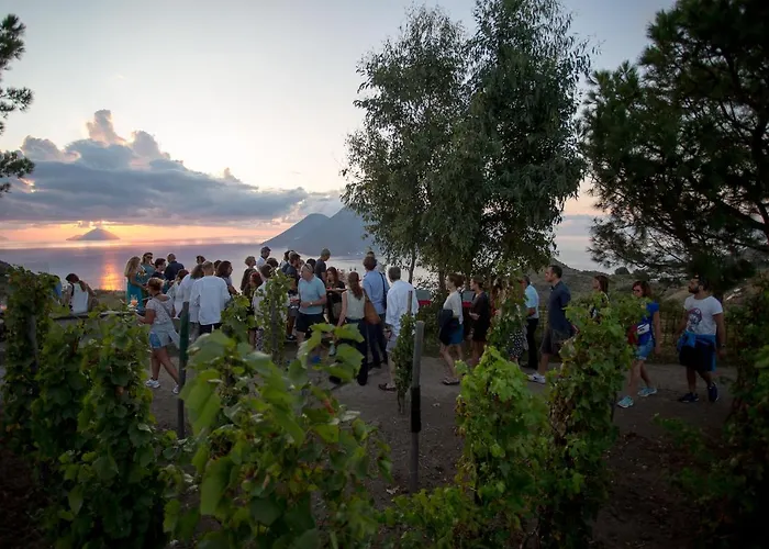 Tenuta Di Castellaro Winery &