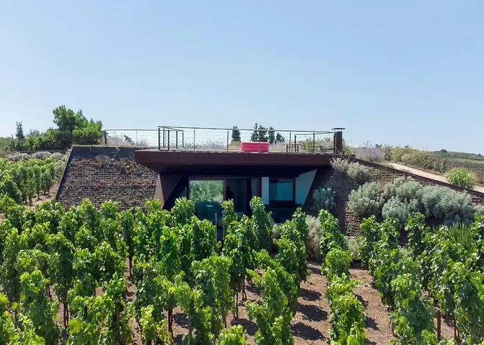 Tenuta Di Castellaro Winery & *