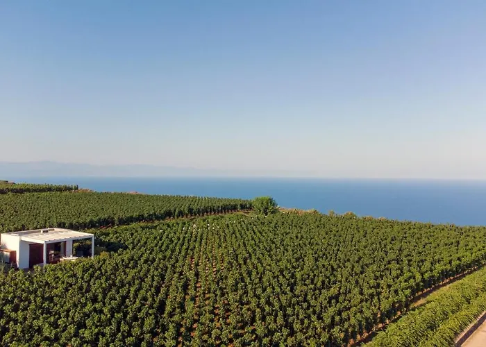 منتجع Tenuta Di Castellaro Winery &