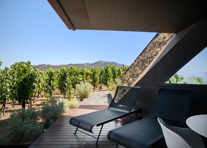 Tenuta Di Castellaro Winery & *