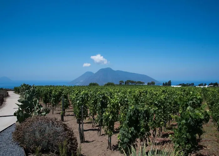 Tenuta Di Castellaro Winery &