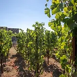 Tenuta Di Castellaro Winery & 리조트 *