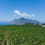 Tenuta Di Castellaro Winery & 리조트 *
