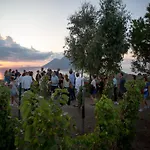 Tenuta Di Castellaro Winery &