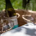 Tenuta Di Castellaro Winery & 리조트