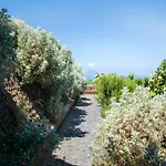 Tenuta Di Castellaro Winery & 리조트 *