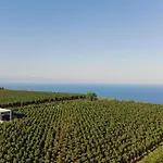 리조트 Tenuta Di Castellaro Winery &