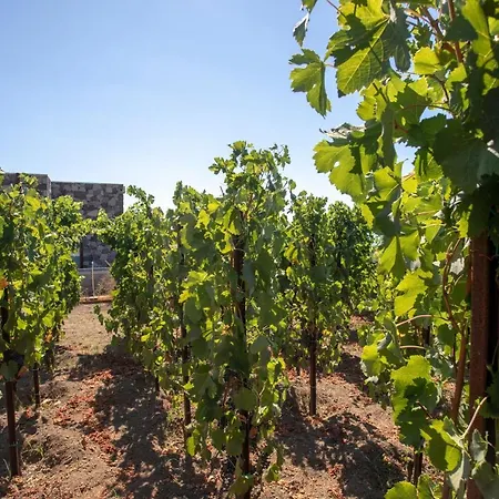 Tenuta Di Castellaro Winery & Station touristique *