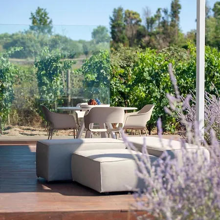 Tenuta Di Castellaro Winery & Lípara