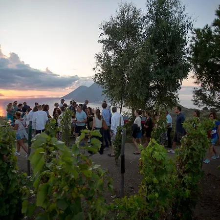 Tenuta Di Castellaro Winery &