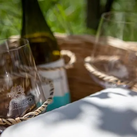 Tenuta Di Castellaro Winery & Resort