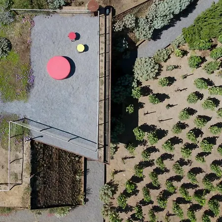 Tenuta Di Castellaro Winery & Resort