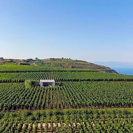 Tenuta Di Castellaro Winery &