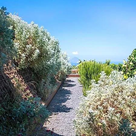 Tenuta Di Castellaro Winery & *