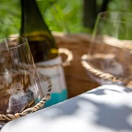 Tenuta Di Castellaro Winery & *