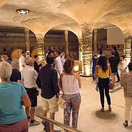 Tenuta Di Castellaro Winery &