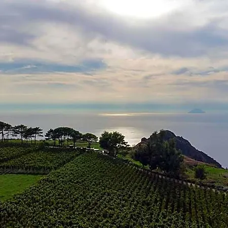 Tenuta Di Castellaro Winery & Resort