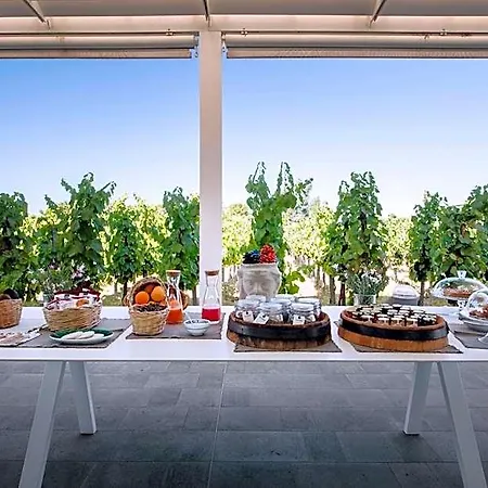 Tenuta Di Castellaro Winery & Lipari (Isola Lipari)