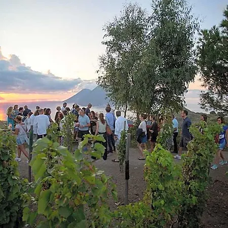 Resort Tenuta Di Castellaro Winery &