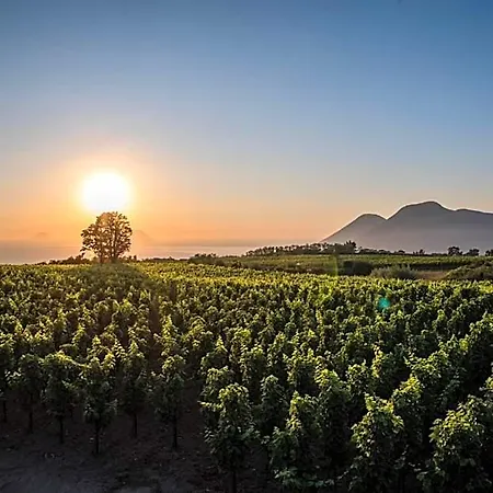 Tenuta Di Castellaro Winery & Resort *