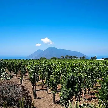 Tenuta Di Castellaro Winery & Resort *