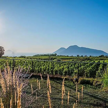 Tenuta Di Castellaro Winery & * ליפארי