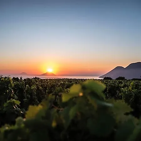 אתר נופש Tenuta Di Castellaro Winery &
