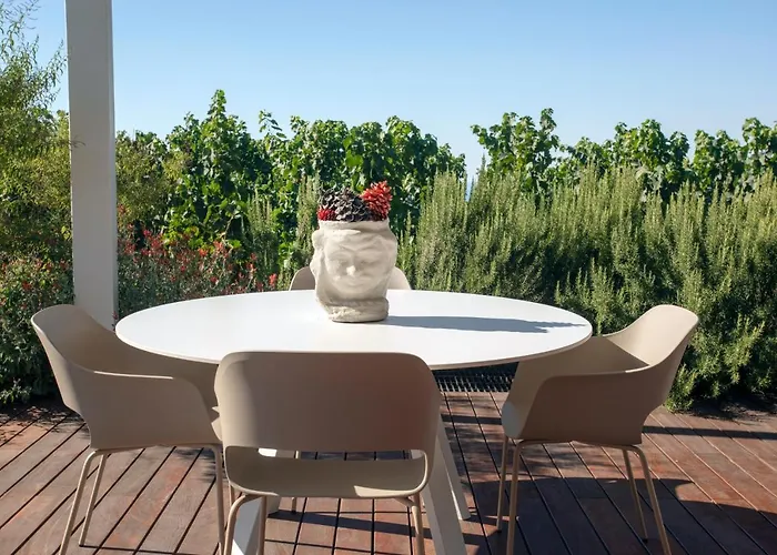 Tenuta Di Castellaro Winery &