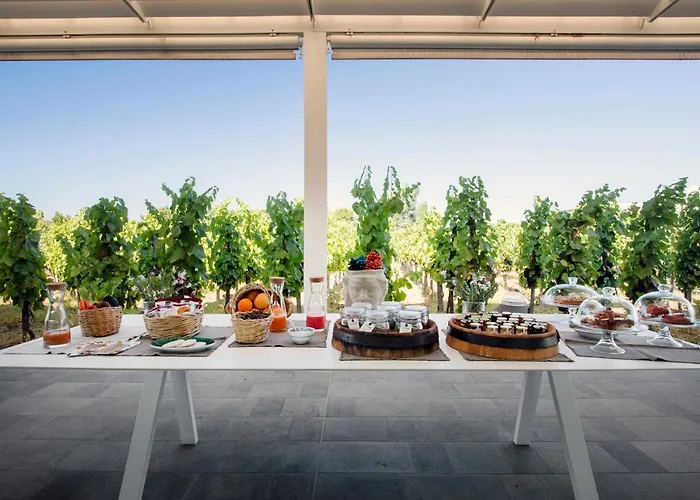 Tenuta Di Castellaro Winery & Resort