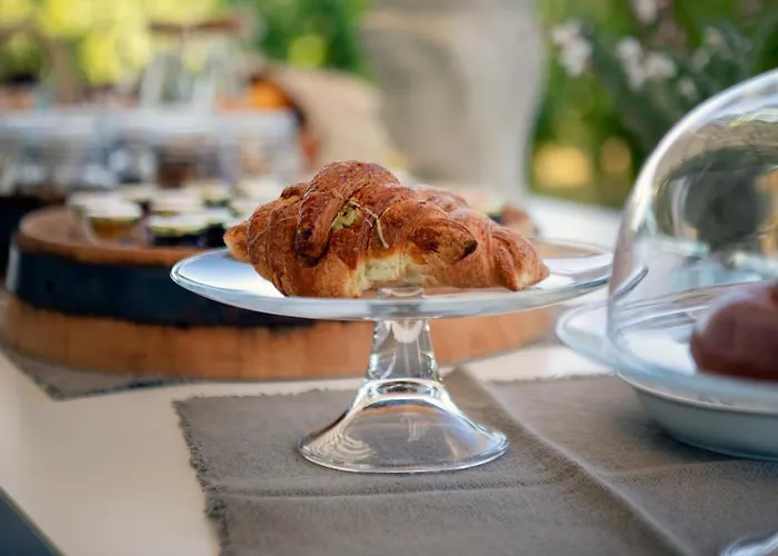 Tenuta Di Castellaro Winery & Resort