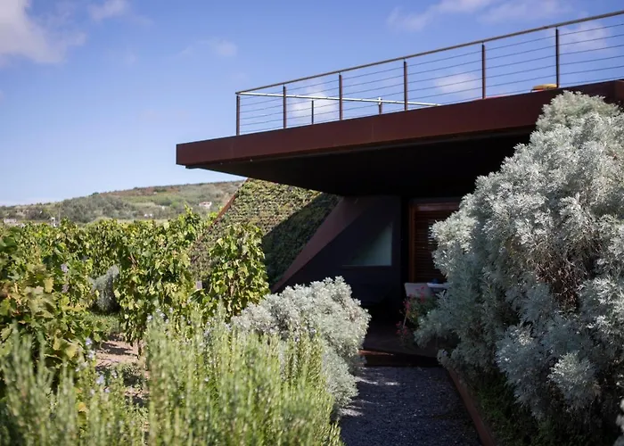 Tenuta Di Castellaro Winery & Resort *