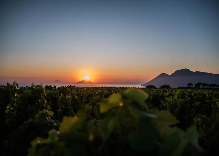 Tenuta Di Castellaro Winery & * Lipari (Isola Lipari)