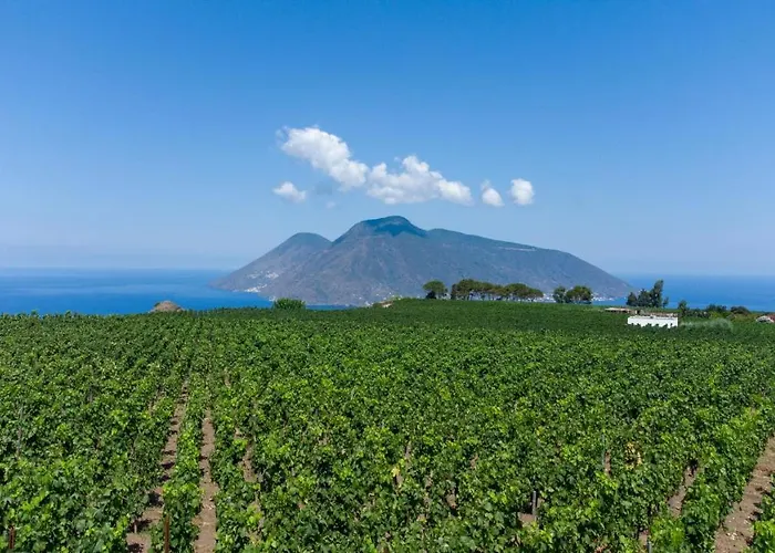 Tenuta Di Castellaro Winery & Resort *