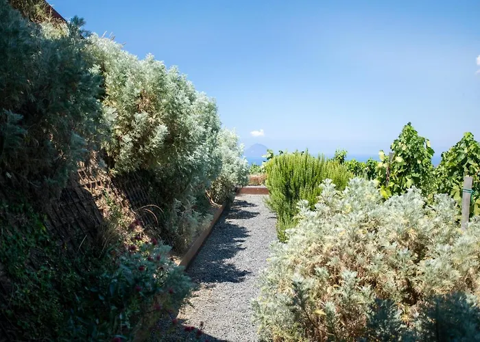 Tenuta Di Castellaro Winery & Resort *