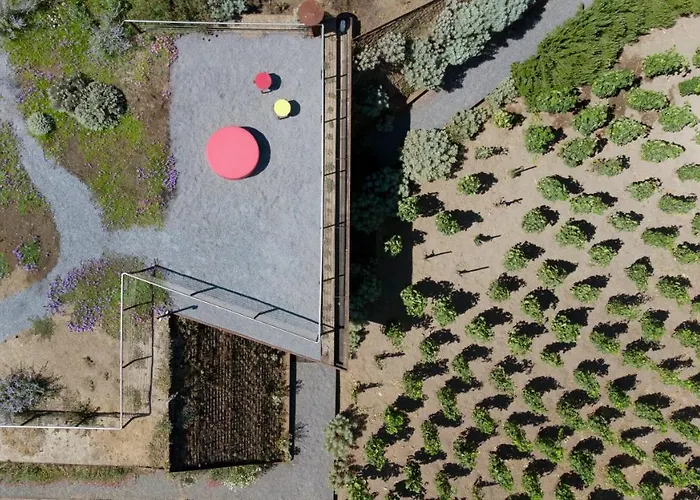 Tenuta Di Castellaro Winery & Resort