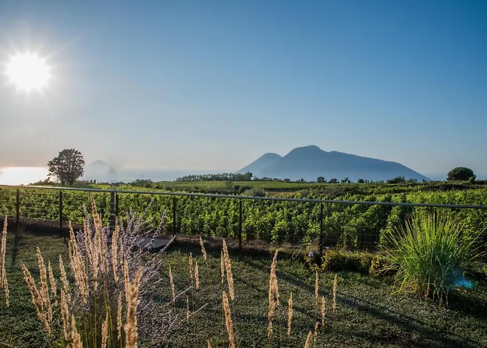 Tenuta Di Castellaro Winery &